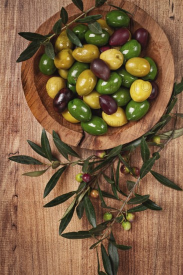 A mixture of olives, varieties of chalkidiki, Verdi giganti and Kalamata, in a bowl, top view, no people