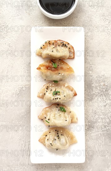Gyoza Japanese dumplings, fried, with sauce, green onion, and sesame seeds, natural color, light background