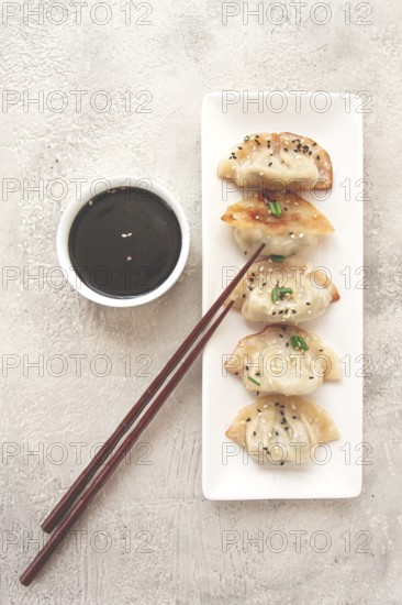 Gyoza Japanese dumplings, fried, with sauce, green onion, and sesame seeds, natural color, light background