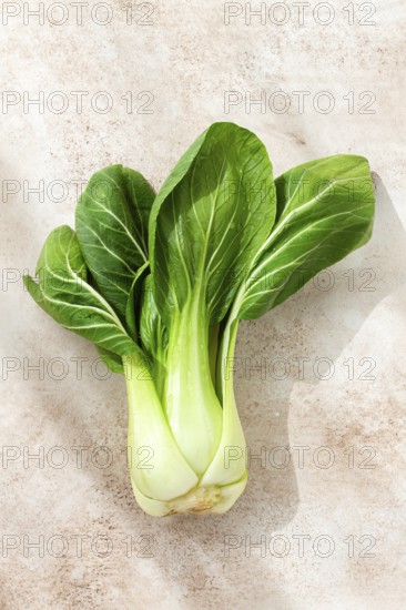 Fresh bok choy, laid out on a light gray surface, top view, natural light
