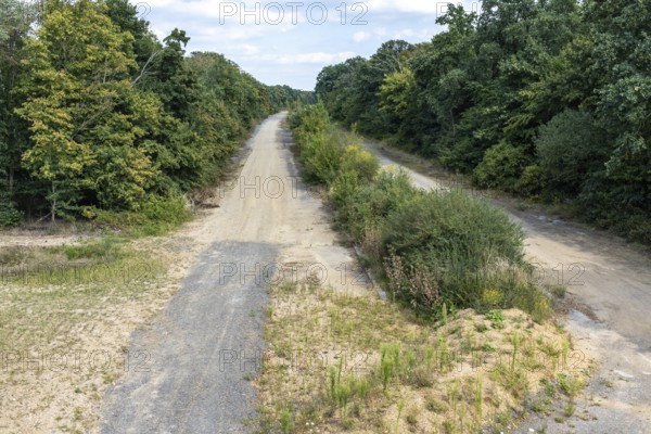 Old A4 motorway route dismantled with vegetation near Manheim, North Rhine-Westphalia, Germany