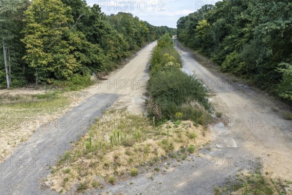 Old A4 motorway route dismantled with vegetation near Manheim, North Rhine-Westphalia, Germany