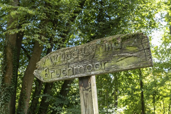 Old wooden sign in the forest, Paffendorf, North Rhine-Westphalia, Germany
