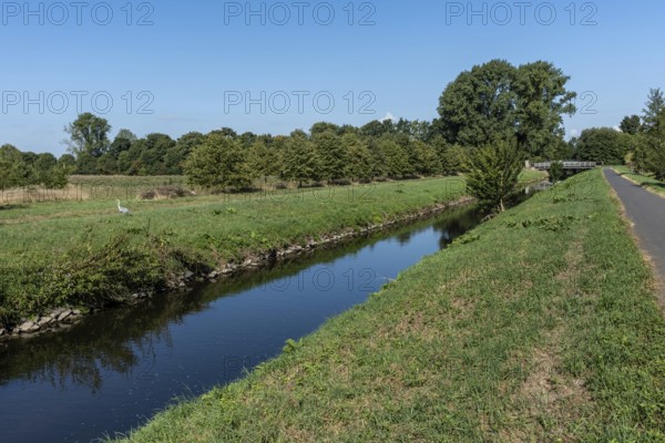 Quiet course of the river Erft with herons, meadows and bridge in the background, Paffendorf, North Rhine-Westphalia, Germany