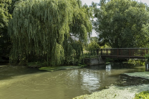Bridge over river Erft near Paffendorf with pasture in the foreground, Paffendorf, North Rhine-Westphalia, Germany