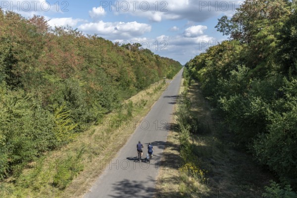 Cyclist on the former railway line of the Hambach open-cast mine, Rhineland-Palatinate, Germany