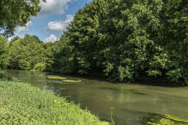 River Erft with green trees on the banks near Paffendorf, North Rhine-Westphalia, Germany