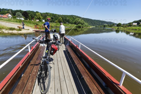 Cyclist on yaw rope ferry, passenger ferry on the Weser, from Herstelle to Würgassen, Beverungen, cycle tour in Weserbergland, North Rhine-Westphalia, Germany