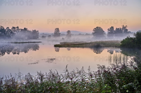 Morning atmosphere with early morning fog at a pond in the nature reserve Schoren, Mühlau, Freiamt, Canton, Aargau, Switzerland