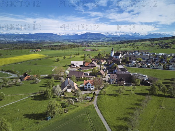 Village view with field of flowering rape, behind the Rigi and the snow-covered Alps, Beinwil, Freiamt, Canton, Aargau, Switzerland