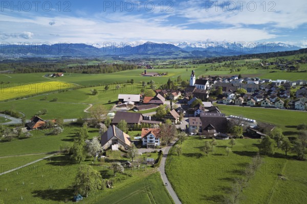 Village view with field of flowering rape, behind the Rigi and the snow-covered Alps, Beinwil, Freiamt, Canton, Aargau, Switzerland
