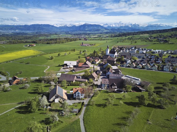 Village view with field of flowering rape, behind the Rigi and the snow-covered Alps, Beinwil, Freiamt, Canton, Aargau, Switzerland