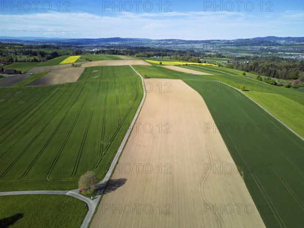 Agricultural arable land and meadows in the hamlet of Winterschwil, Beinwil, Freiamt, Canton, Aargau, Switzerland