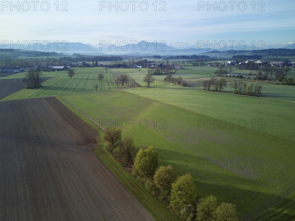 Agricultural fields and meadows in the Reuss valley, with the Rigi and the Alps behind, Merenschwand, Freiamt, Canton, Aargau, Switzerland