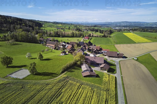 Agricultural fields and rape fields in bloom in the hamlet of Winterschwil, Beinwil, Freiamt, Canton, Aargau, Switzerland