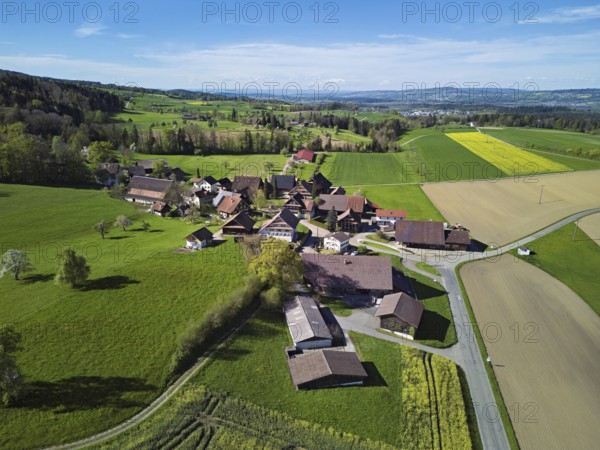 Agricultural fields and rape fields in bloom in the hamlet of Winterschwil, Beinwil, Freiamt, Canton, Aargau, Switzerland