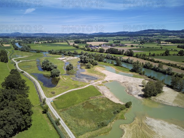 Freshly renaturalised area on the Reuss, floodplain landscape, Reussegg hamlet, Sins, Freiamt, Canton, Aargau, Switzerland