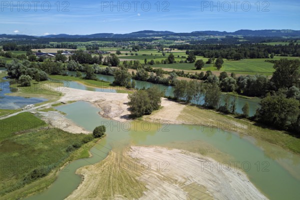Freshly renaturalised area on the Reuss, floodplain landscape, Reussegg hamlet, Sins, Freiamt, Canton, Aargau, Switzerland