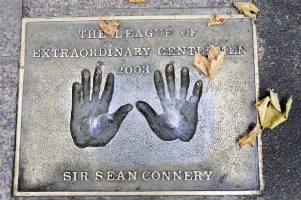 Plaque with handprints and corresponding inscription on a street with autumn leaves, London, England, Great Britain