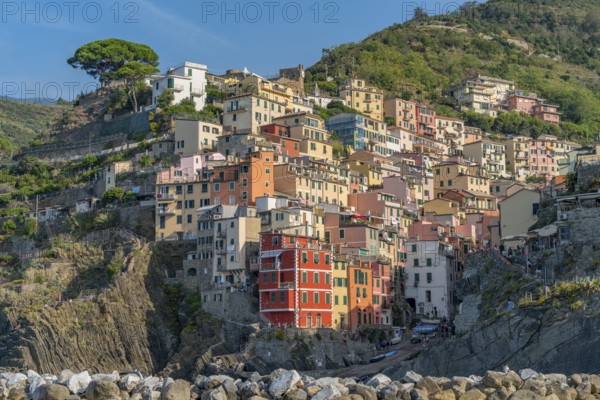 Scenery around Riomaggiore, a village at a coastal area named Cinque Terre in Liguria, located in the northwest of Italy
