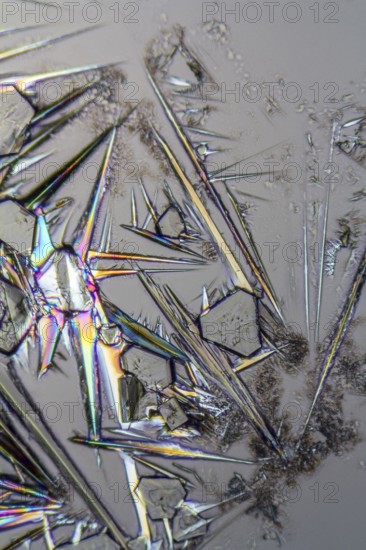Macro shot of growing microcrystals of soda lye in polarized light
