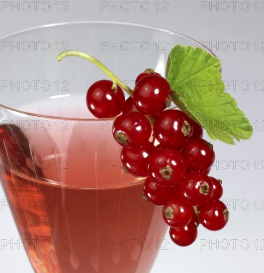 Redcurrant berries as decoration on a drinking glass in light grey back