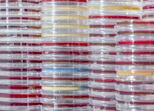 Full frame abstract shot showing lots of stacked petri dishes filled with colorful agar growth medium