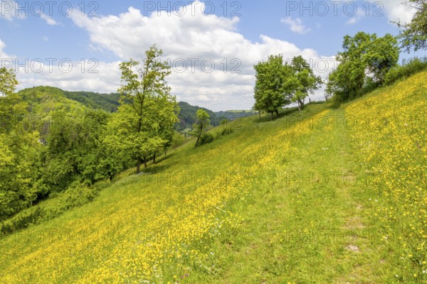 Sunny idyllic spring time scenery around Jagst valley in Hohenlohe, a district in Southern Germany