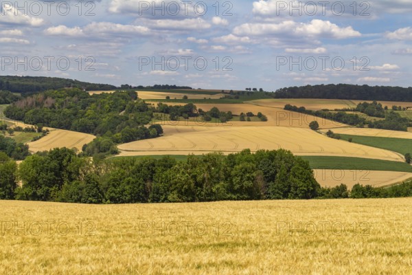 Idyllic rural scenery around the Jagst Valley in Hohenlohe, a district in Southern Germany at summer time