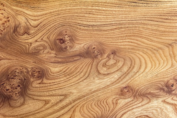 Full frame abstract burl wood background