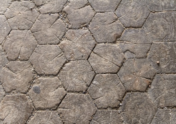 Historic wooden floor detail seen in Bamberg