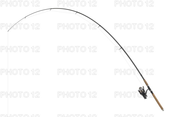 Isolated fishing pole in white back