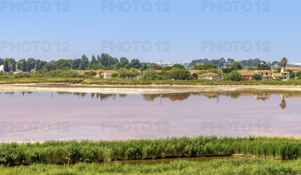 Settlement around a pink salt evaporation pond in the Camargue area in southern France