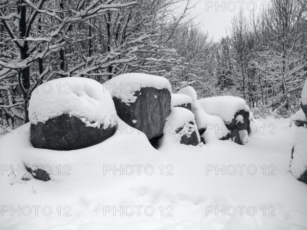 Grey toned snow-covered forest with big stones in Southern Germany