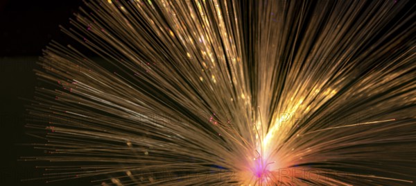 Illuminated fanned out optical fibers closeup in black back