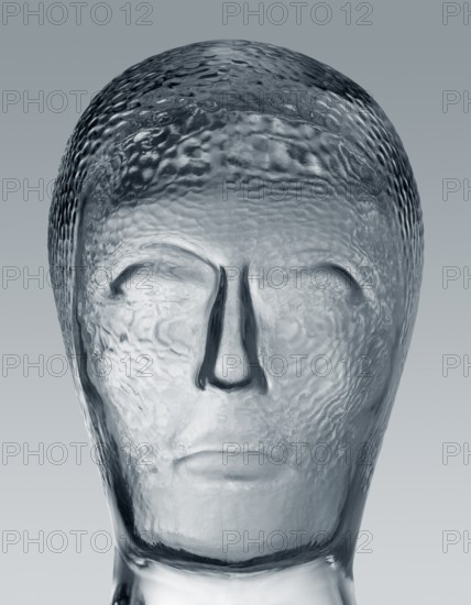 Profile shot of a generic human dummy head made of glass in gradient grey back, with clipping path