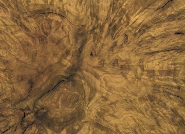 Full frame abstract burl wood background