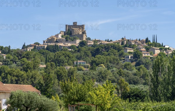 Scenery around Le Barroux in the Vacluse department in the Provence region of southern France