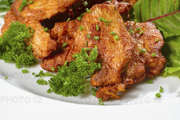Roasted chicken dish with fresh green salad on a white plate