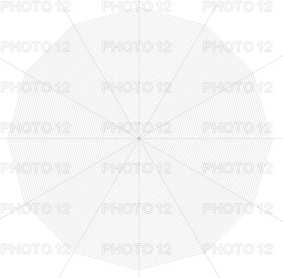 Illustration of a frontal spiderweb in black back