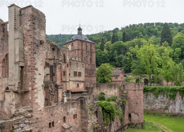 Impression around Heidelberg Castle in Germany at summer time