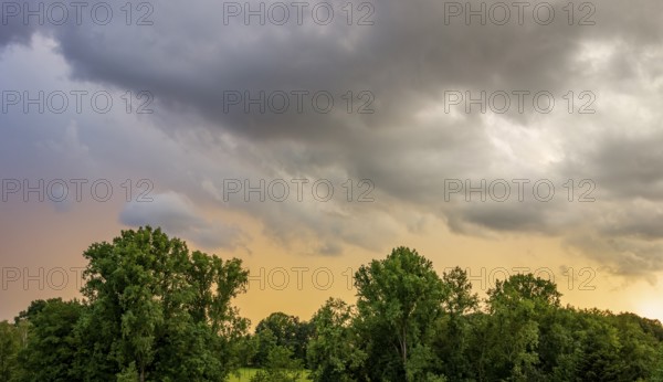 Stormy scenery over treetops at evening time