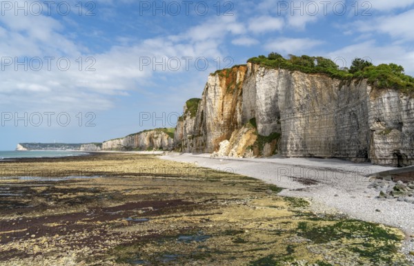Scenery around Yport, a commune in the Seine-Maritime department at Normandy, France