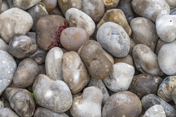 Full frame picture showing lots of cobbles seen at the Normandy region in France