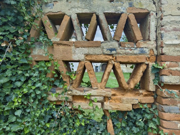 Brick wall with triangular cavities and ivy, lends a rustic flair Styria Austria
