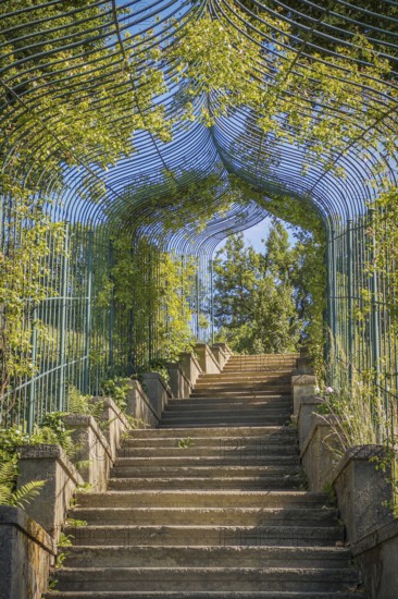 Rose staircase at Babelsberg Palace, Potsdam, Brandenburg, Germany