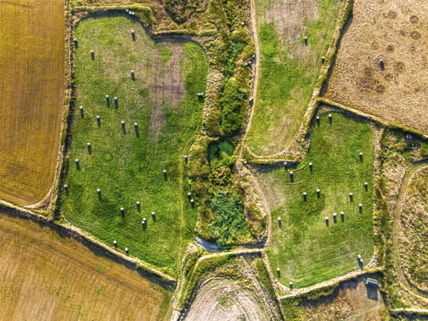 Top Down view over Cornwall fields and farms from a drone, Lizard Peninsula, South West Coast Path, Lizard, Cornwall, England, United Kingdom