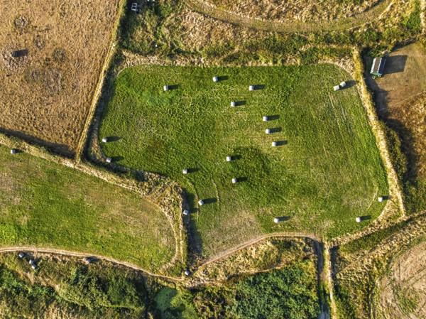 Top Down view over Cornwall fields and farms from a drone, Lizard Peninsula, South West Coast Path, Lizard, Cornwall, England, United Kingdom