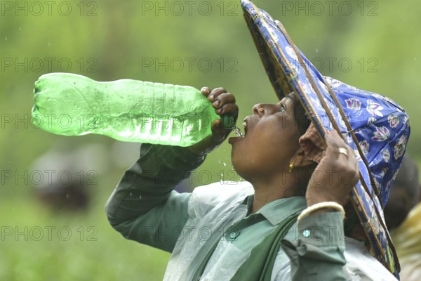 Agartala, Tripura, India, 17-07-2025: A tea garden worker drinks water while she working in a tea garden as she covered her body with plastis in a tea garden during a heavy rain in Durgabari tea garden on the outskirts of Agartala. Photo By-Abhisek Saha
