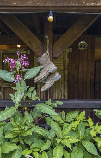 Hanging up the hiking boots, decoration, Bissendorf, Lower Saxony, Germany